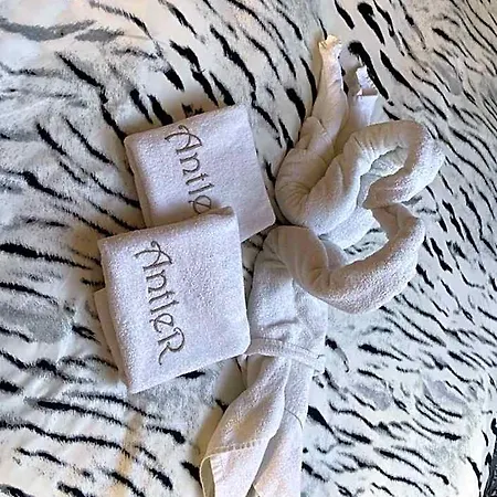 Antler 3*